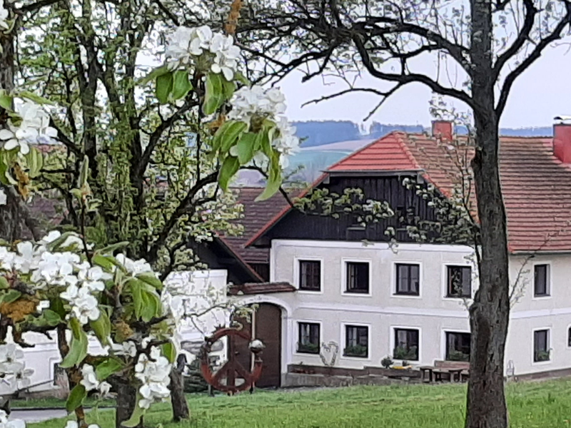 Der Bucherhof von außen