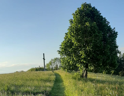 Der Weg zum Friedenskreuz vom Bucherhof weg